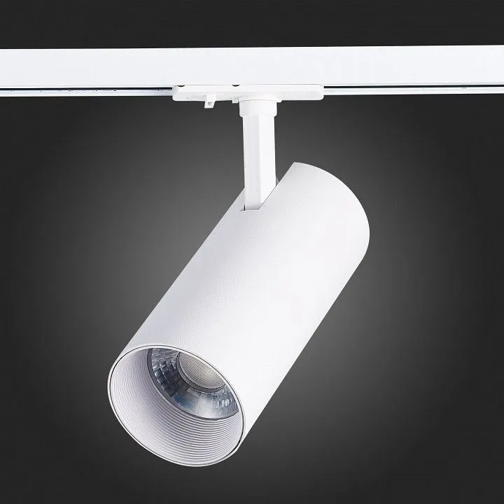 Светильник на штанге ST-Luce Mono ST350.546.30.24