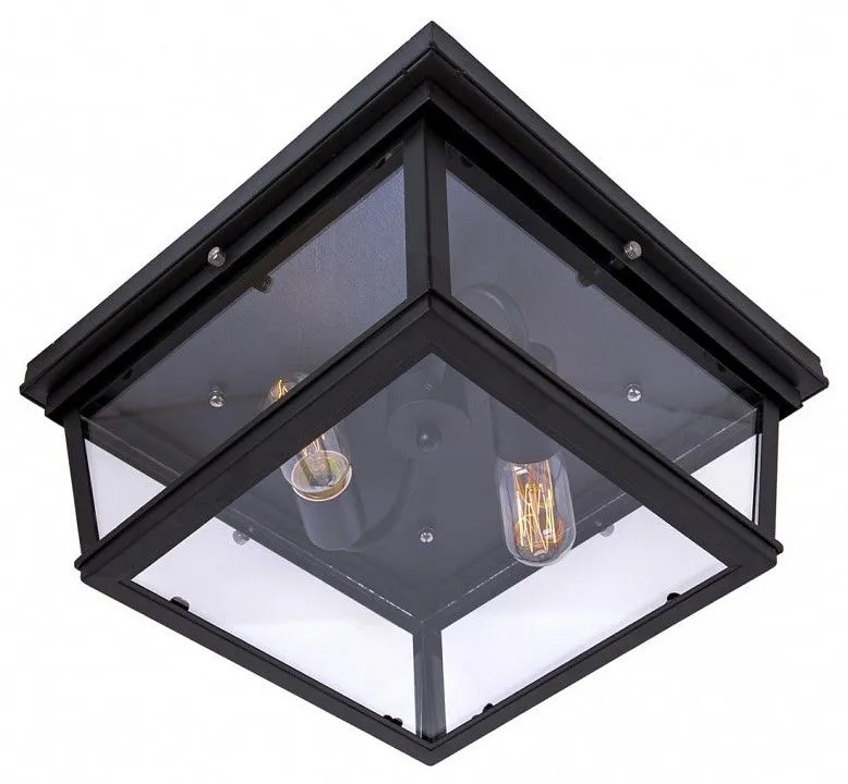 Накладной светильник Loft it Modern Filament LOFT3110-2C