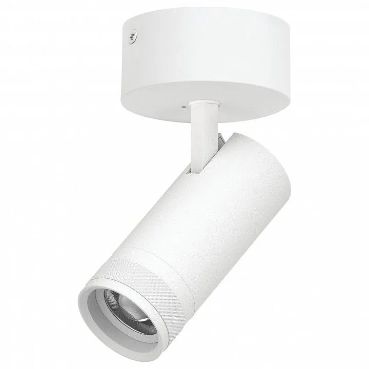 Спот Lightstar Canno Pro C4206SO