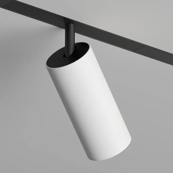 Светильник на штанге Denkirs SMART SPOT DK8041-BW+BK Светильник на штанге Denkirs SMART SPOT DK8041-BW+BK