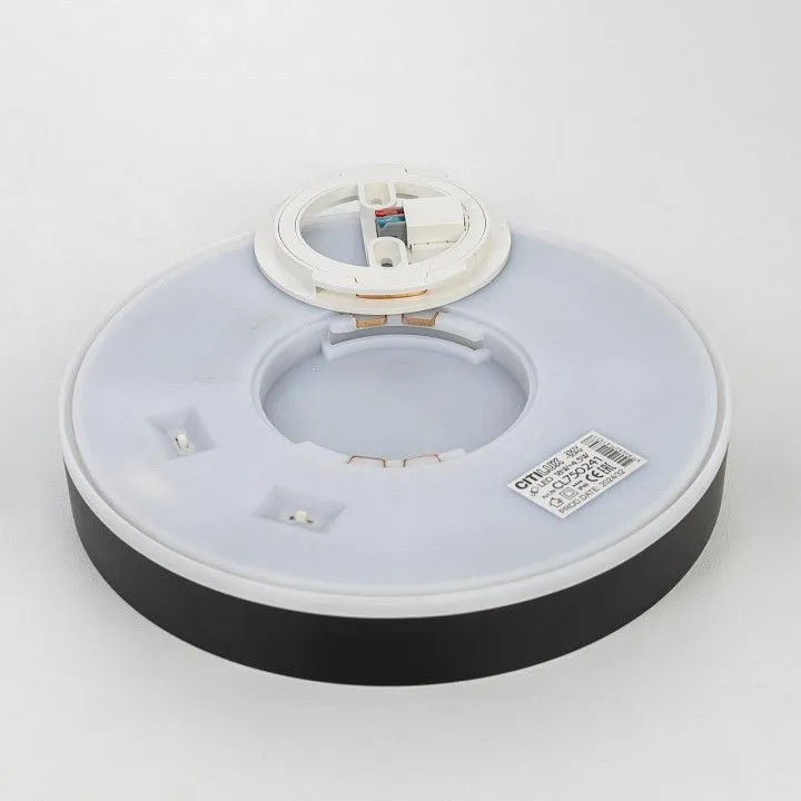 Накладной светильник Citilux Etalon CL750241