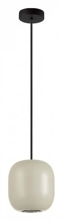 Подвесной светильник Odeon Light Cocoon 5060/1GA Подвесной светильник Odeon Light Cocoon 5060/1GA