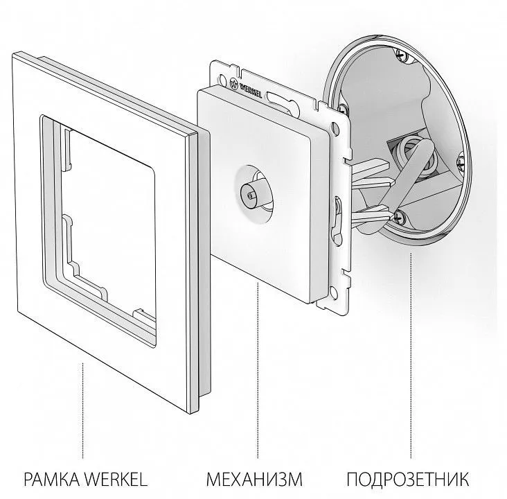 ТВ-розетка Werkel белый W1184001
