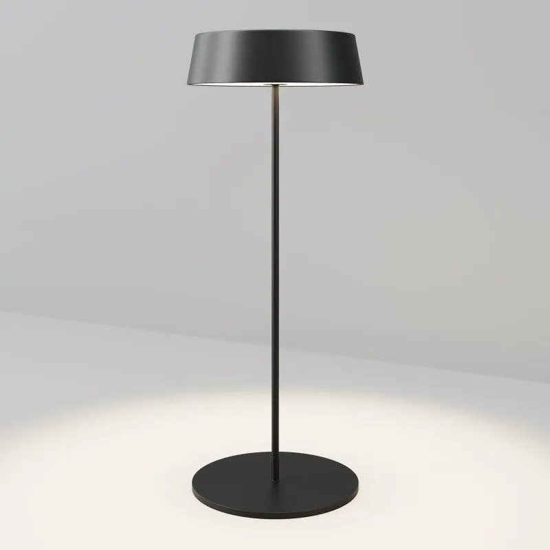 Наземный низкий светильник Maytoni Outdoor Porto O540TL-L2BCCT