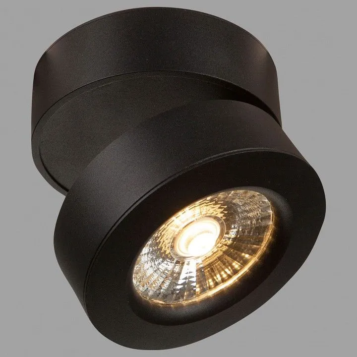 Накладной светильник Maytoni Technical Тревизо C023CL-L20B