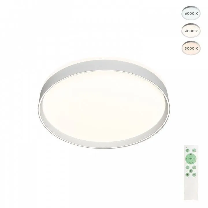 Накладной светильник Denkirs PLATO DK6511-WH