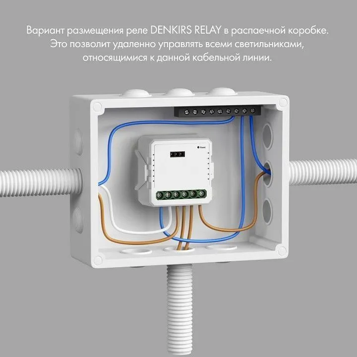 Конвертер Wi-Fi для смартфонов и планшетов Denkirs Relay RL1002-SM