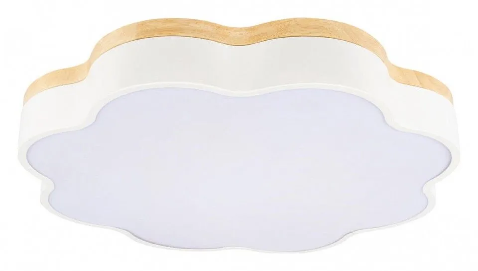 Накладной светильник Loft it Axel 10225/36 White