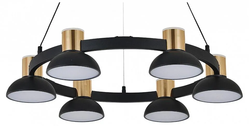 Подвесная люстра Indigo Traforo 11059/6P Black