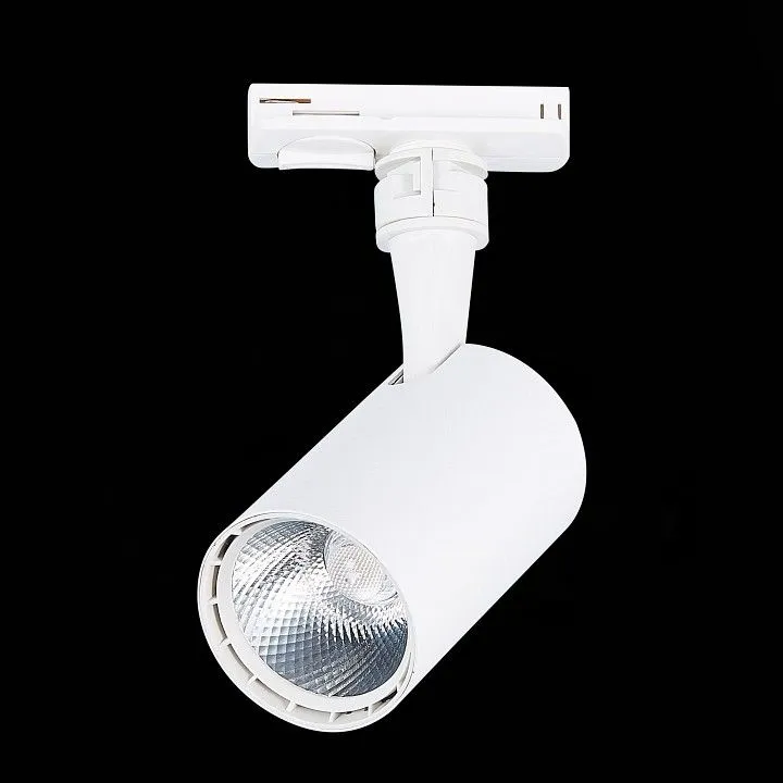 Светильник на штанге ST-Luce Cami ST351.536.10.24