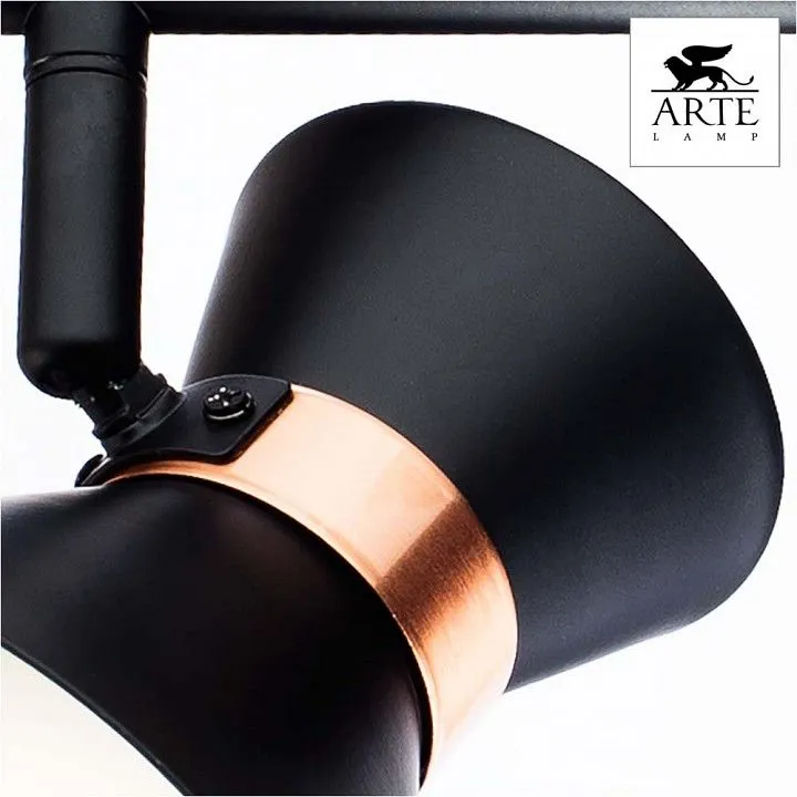 Спот Arte Lamp Baltimore A1406AP-2BK