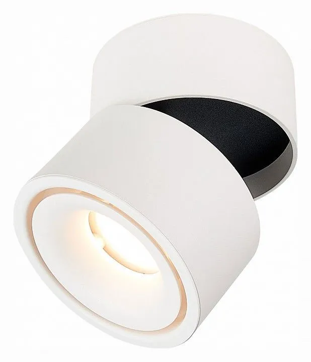 Светильник на штанге ST-Luce ST652 ST652.542.12