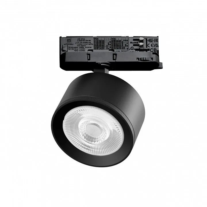 Светильник на штанге Lightstar Alta Pro A5547QT60G