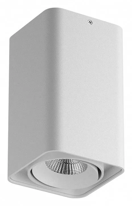 Накладной светильник Lightstar Monocco 052136