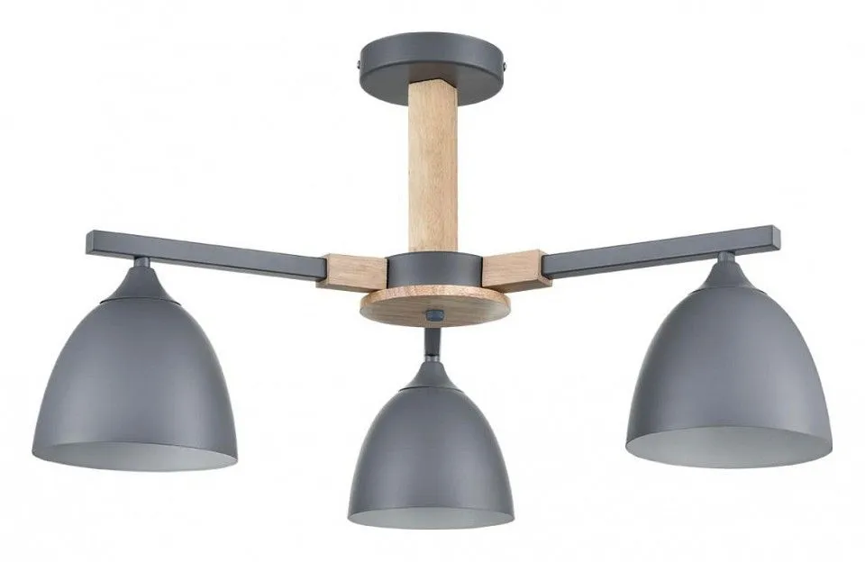 Люстра на штанге Lumion Colange 8096/3C