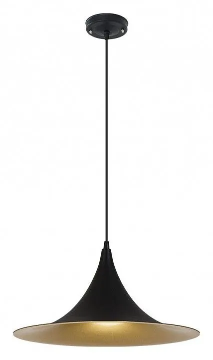 Подвесной светильник Arte Lamp Carmel A7080SP-1BK