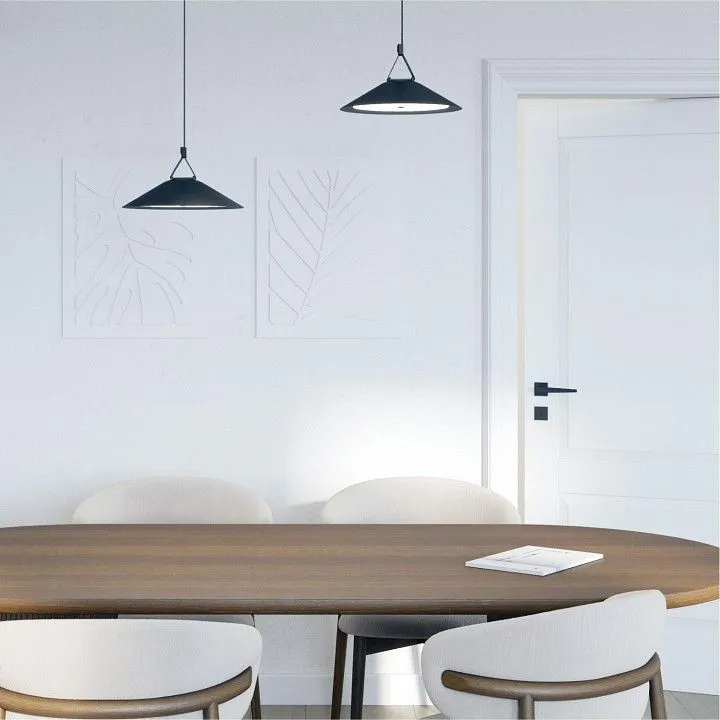 Накладной светильник Denkirs BELTY FLOW DK5565-BK Накладной светильник Denkirs BELTY FLOW DK5565-BK