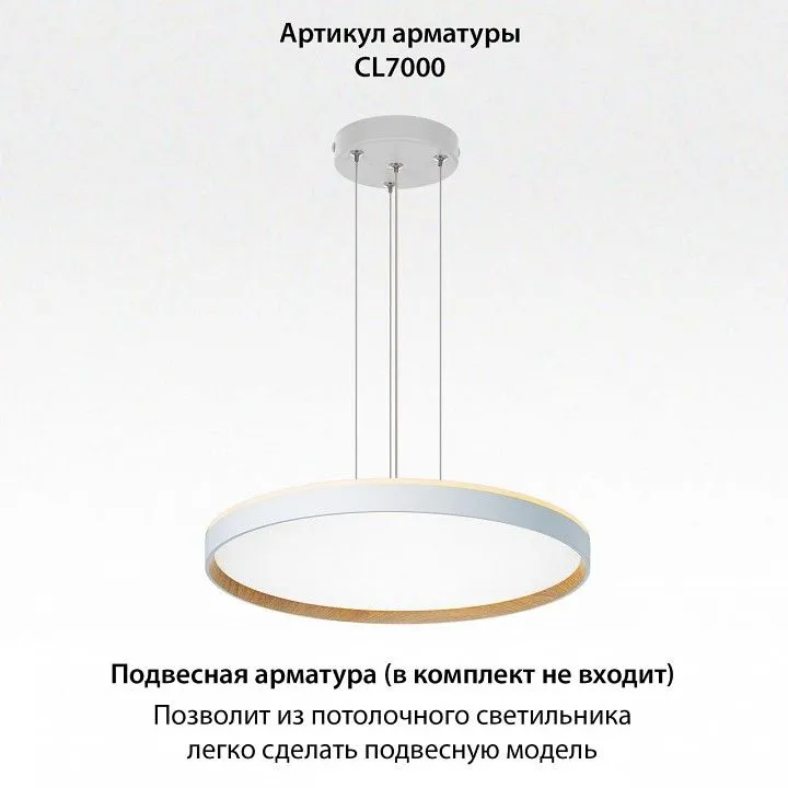 Накладной светильник Citilux ETALON CL750500R
