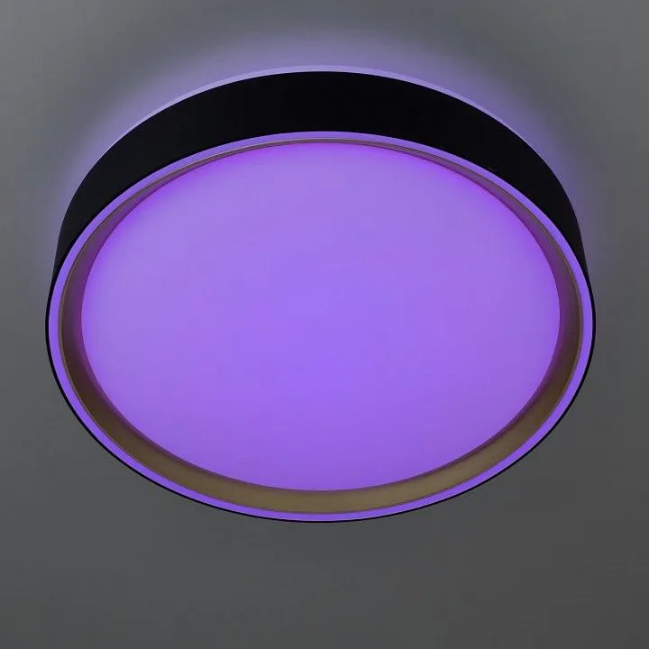 Накладной светильник Citilux BOSS CL751251G