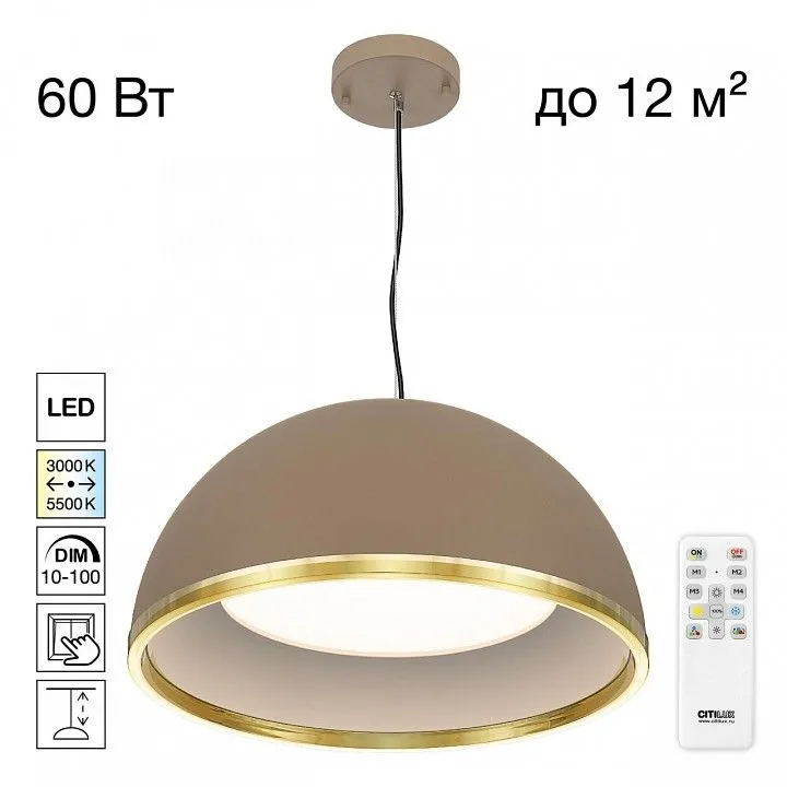Подвесной светильник Citilux FLOOM CL736252