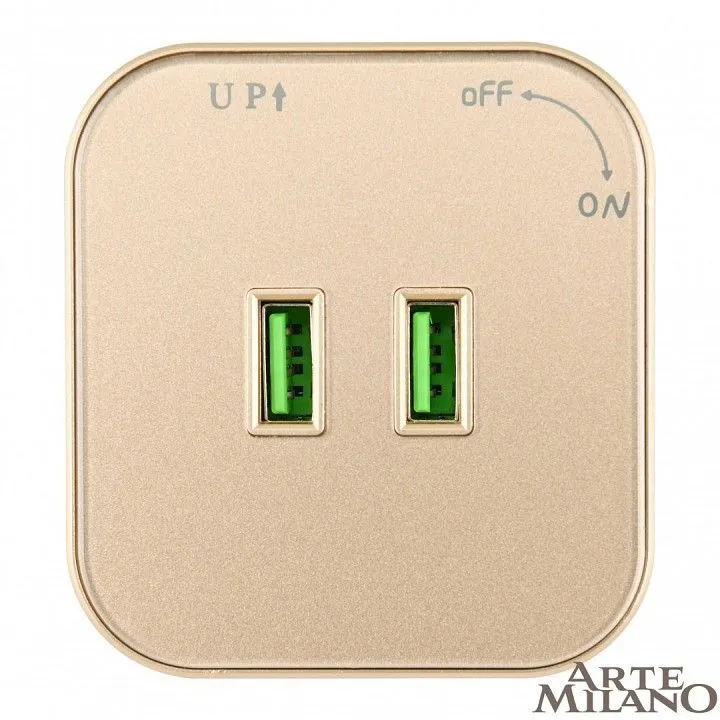 Розетка 2xUSB на треке Arte Milano Am-track-sockets 380022TS/USBx2 Gold