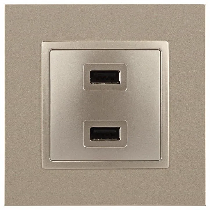 Розетка 2хUSB type A без рамки Эра Эра Elegance 14-4110-04