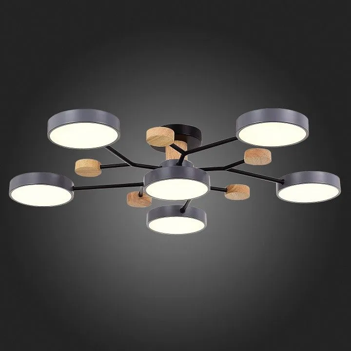 Потолочная люстра EVOLUCE Faema SLE6006-702-06
