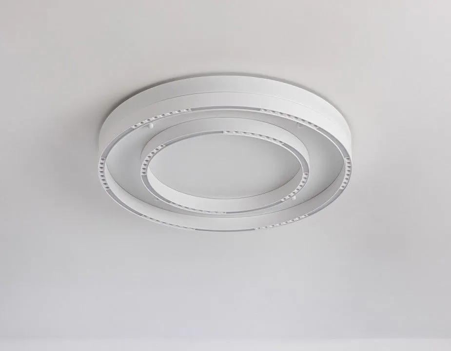 Накладной светильник Ambrella Light FL FL5821