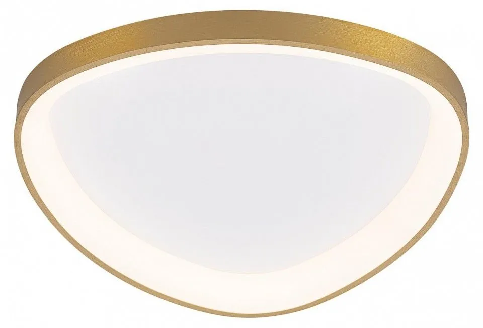 Накладной светильник Citilux GENKA SMART CL756A142