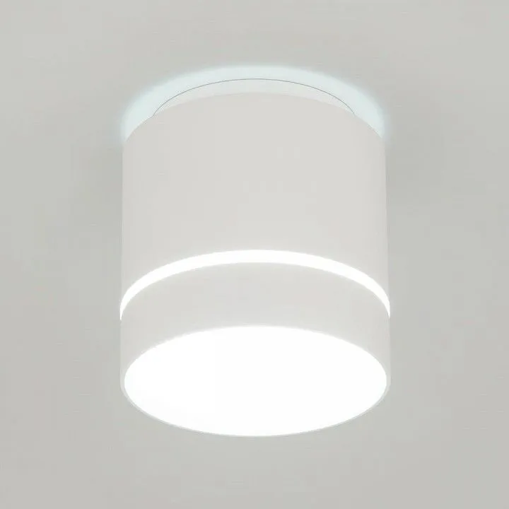 Накладной светильник Citilux Борн CL745020N