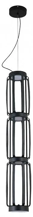 Подвесной светильник Indigo Capsula 14027/4P Black