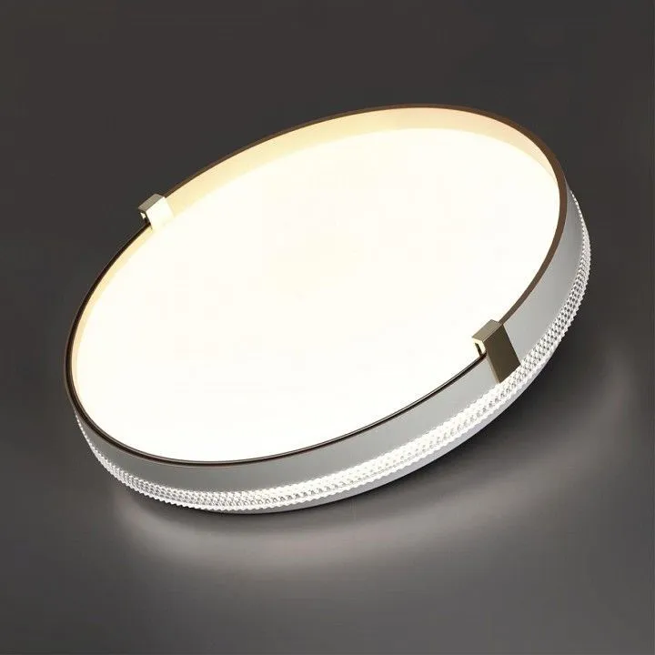 Накладной светильник Sonex PALE 7646/ELN