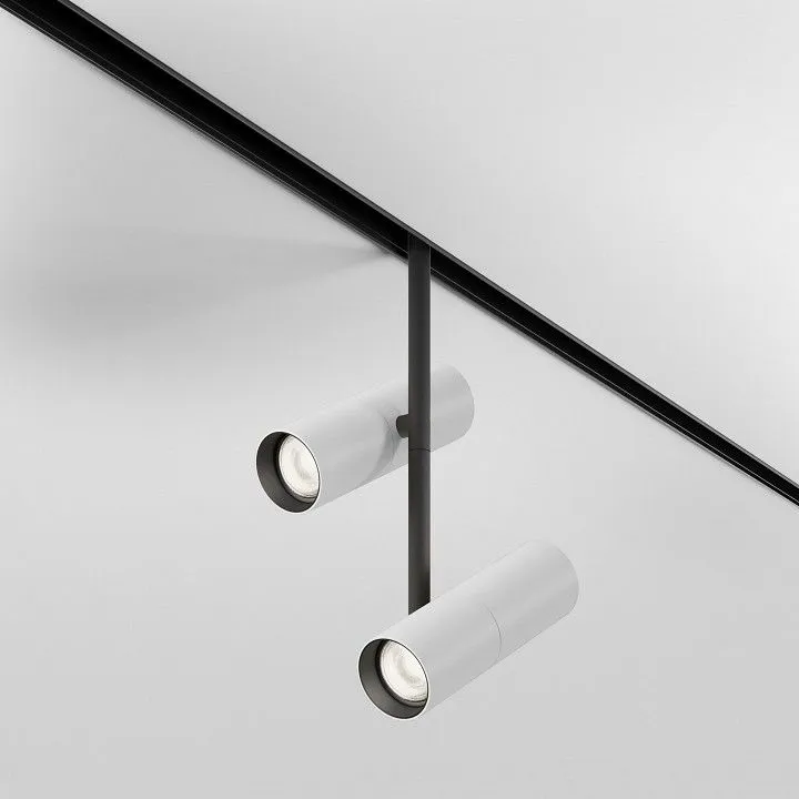 Светильник на штанге Maytoni Technical Элти дуэт TR005-2-2X12W4K-BW