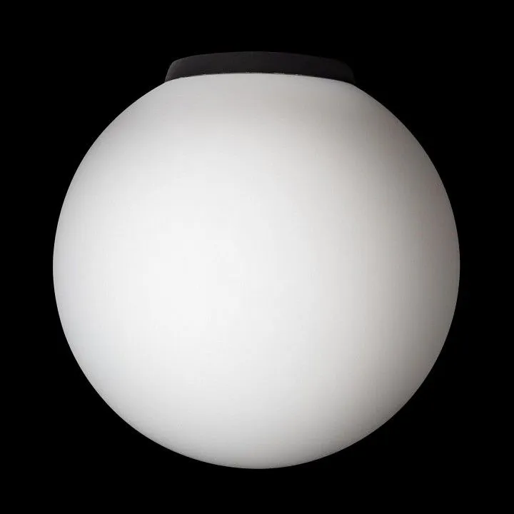 Накладной светильник Citilux RON CL941D20B5