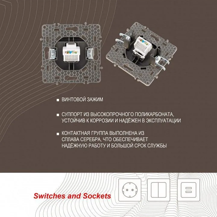 Розетка Ethernet RJ-45 без рамки Arte Milano am-217 217.45-1.shampan