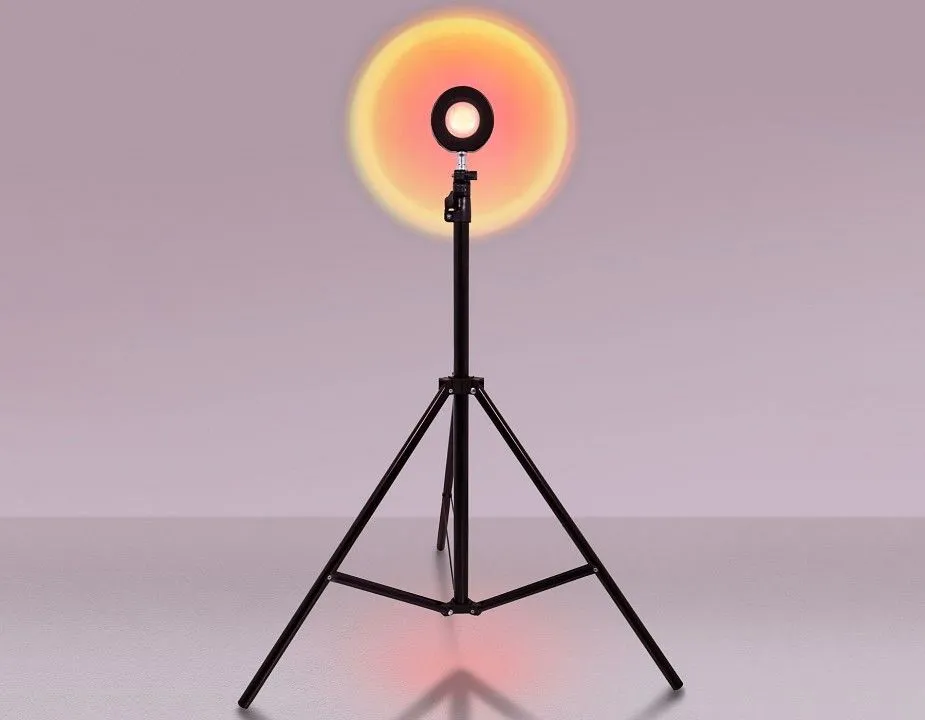 Настольная лампа декоративная Ambrella Light DE DE8387