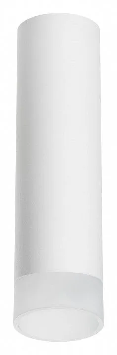 Накладной светильник Lightstar Rullo R649681