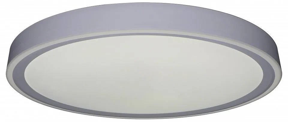 Накладной светильник Zortes Bella ZRS.1200.09