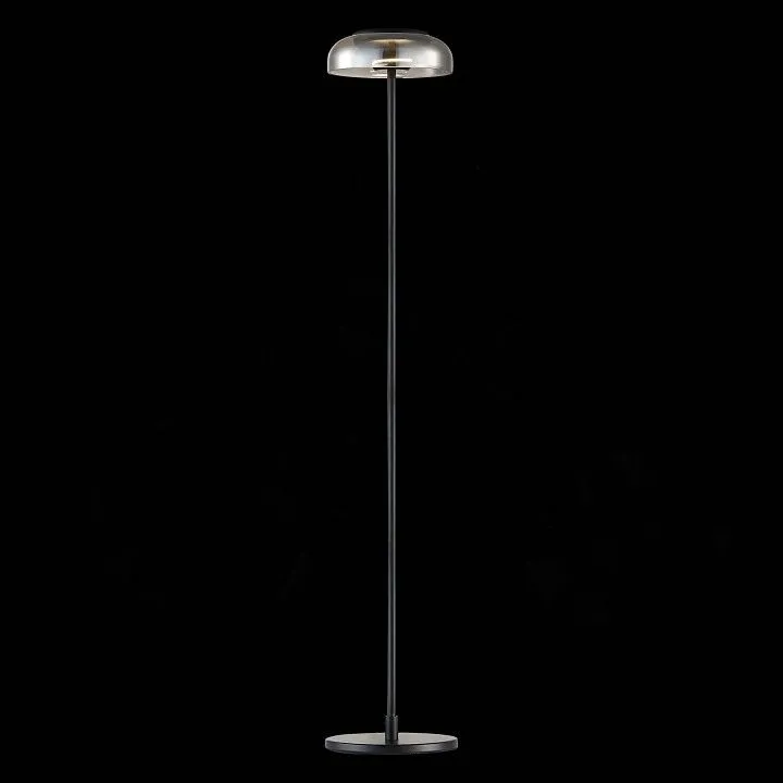 Торшер ST-Luce Lacio SL6002.405.01