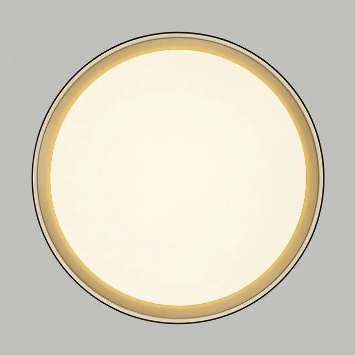 Накладной светильник Citilux BOSS CL751351G