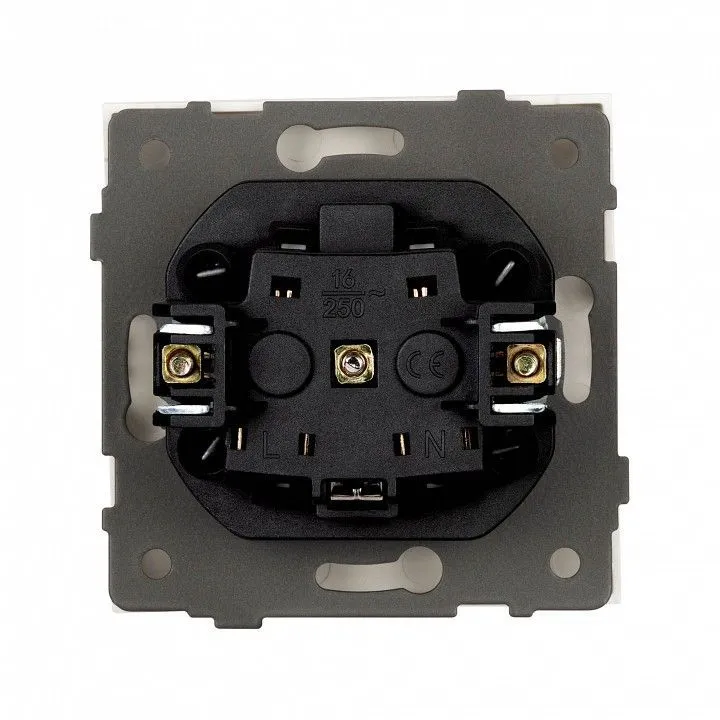 Розетка с заземлением, без рамки Arlight SCT-TENDO 054081