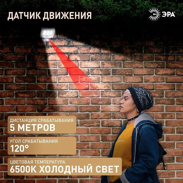 Настенный прожектор Эра  ERAFS048-08