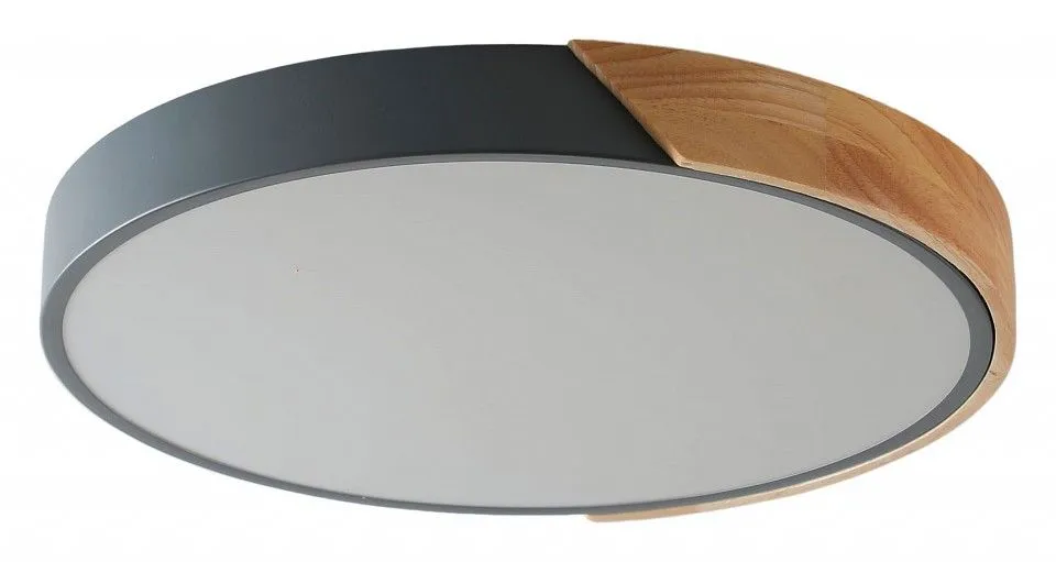 Накладной светильник Zortes Alberro ZRS.01280.90