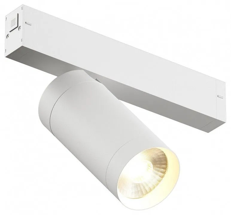 Светильник на штанге Denkirs Dk80 DK8020-WH Светильник на штанге Denkirs Dk80 DK8020-WH