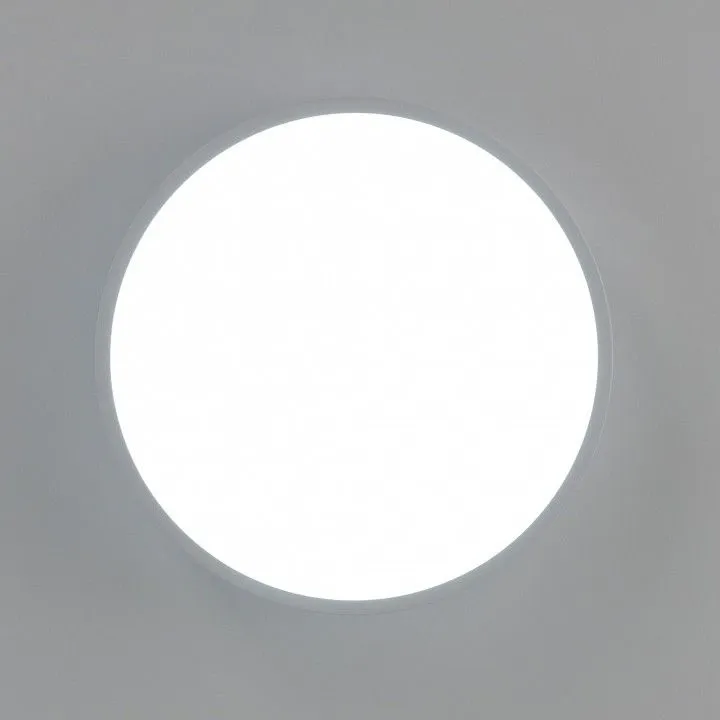 Накладной светильник Citilux Купер CL72424V0