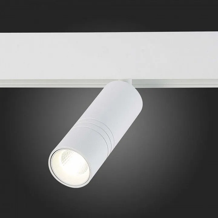 Светильник на штанге ST-Luce Lemmi ST365.546.12