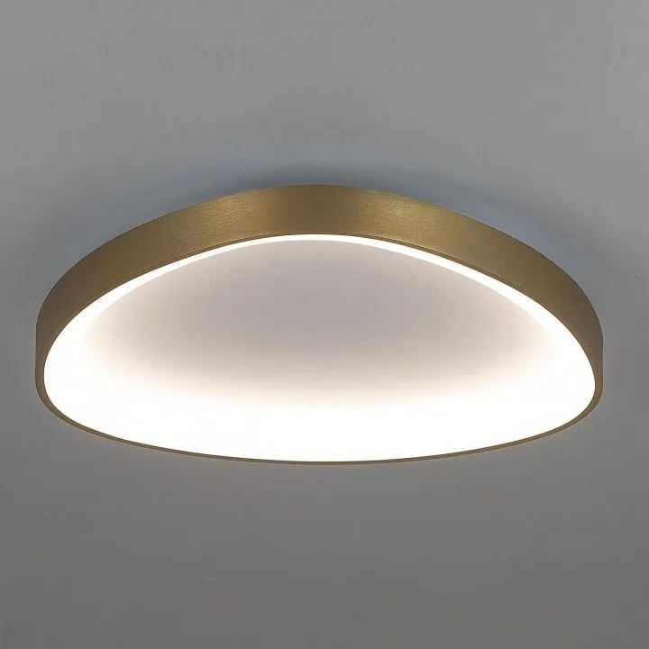 Накладной светильник Citilux GENKA SMART CL756A142