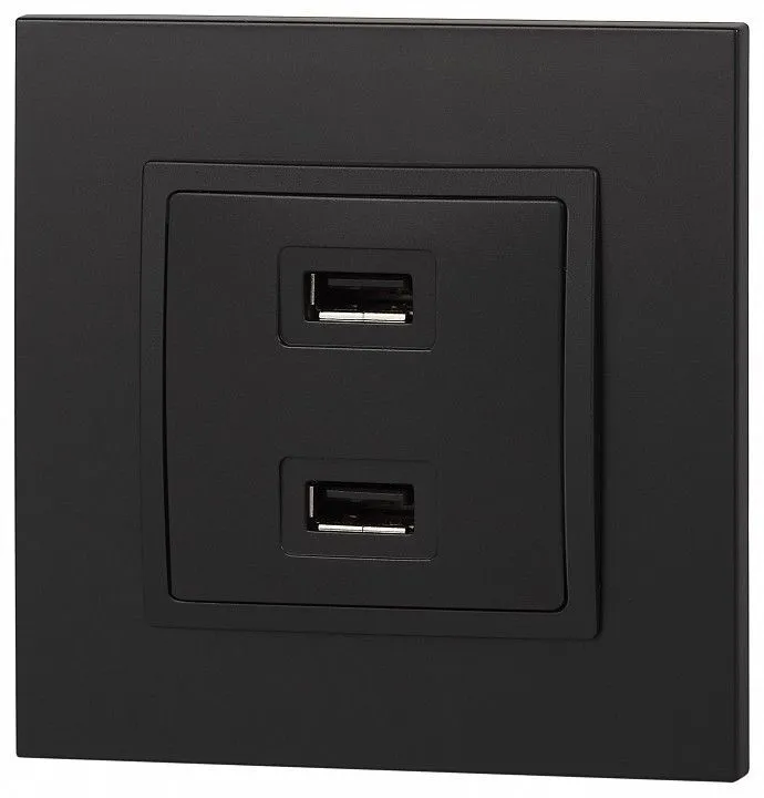 Розетка 2хUSB type A без рамки Эра Эра Elegance 14-4110-05