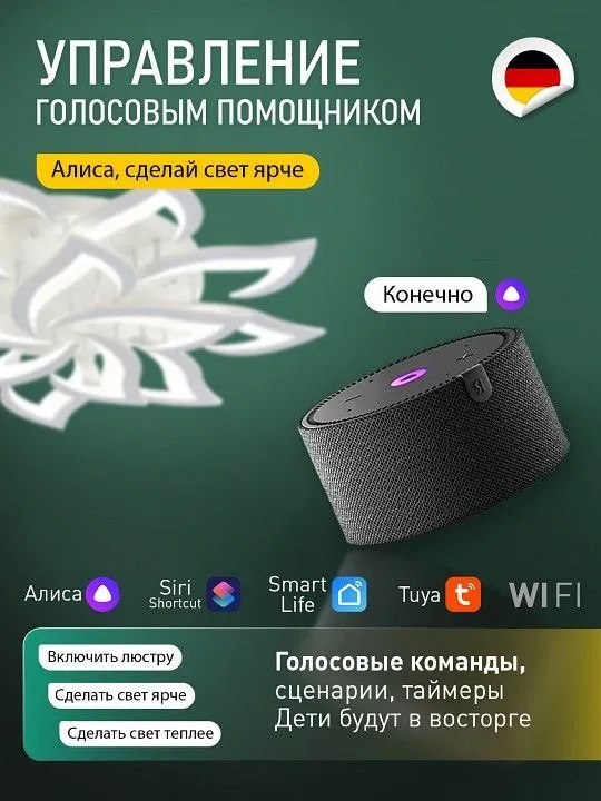 Потолочная люстра Natali Kovaltseva  LED SMART 84024
