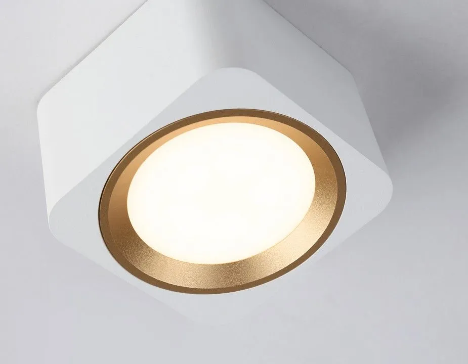 Накладной светильник Ambrella Light TN TN70831